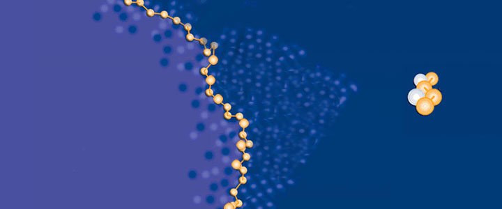 XII Congreso Nacional de Divulgación de la Ciencia y la Técnica