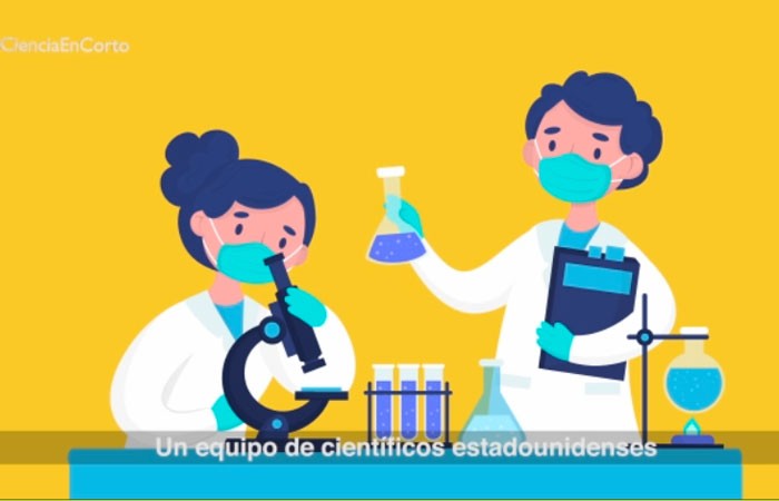 Covid de laboratorio